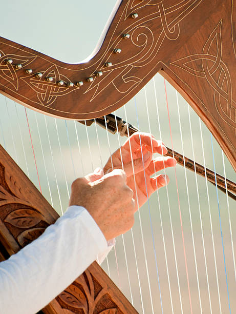 istock Young woman Playing a Harp 113575516