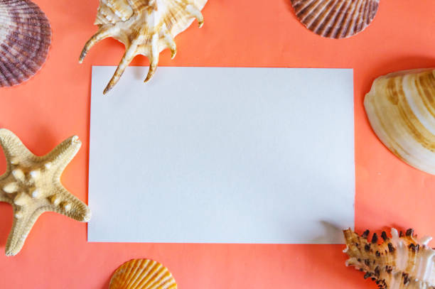 istock Flat lay living coral background with a place for text. Seashells. Background for design. 1135759375