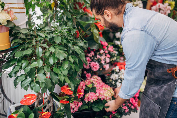 istock Florist working at the flower shop 1135762222