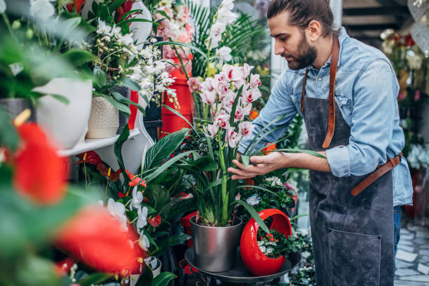 istock Man florist working at the flower shop 1135762275