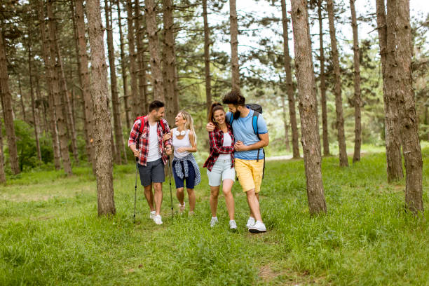 istock Group of four friends hiking together through a forest 1135763767