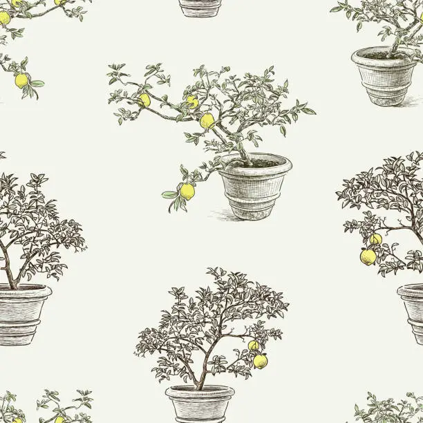 Vector illustration of Seamless pattern of lemon trees in the flowerpots