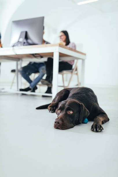 istock He can not wait for the end of workday 1135765254