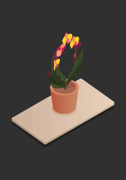 Vector illustration of Home flower in pot vector isometric concept vector illustration-vektorgrafik.