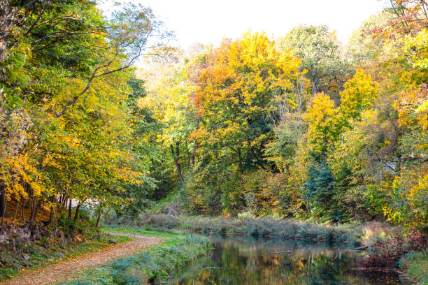 istock calm river in the autumn yellow forest 1135767899