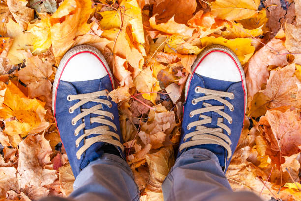 istock feet in sneakers on dry yellow foliage 1135767907