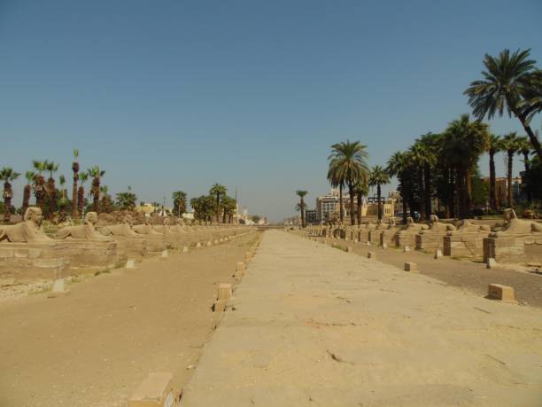 Road between the Temple in Luxor