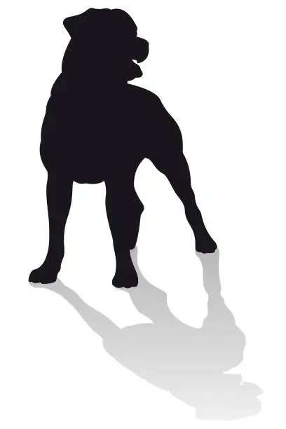 Vector illustration of Rottweiler Dog Vector Silhouette Standing