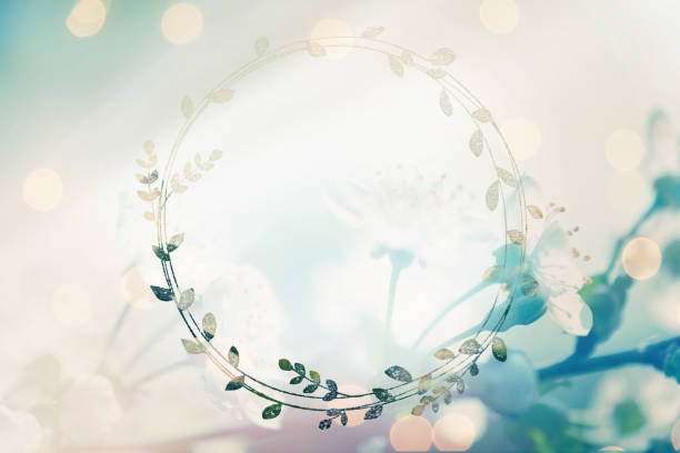 istock Cherry Blossom with defocused lights and frame for your text message 1135770194
