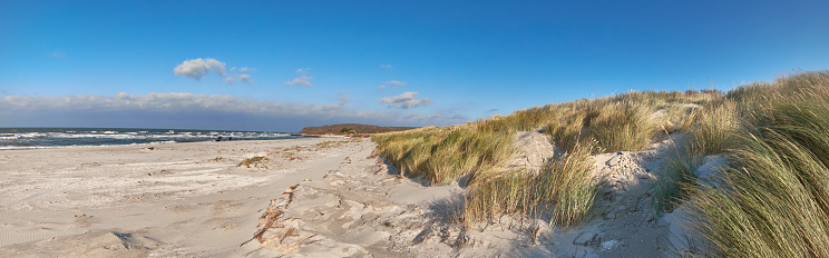 Windy beach in Hiddensee island on the Baltic coast of Northern Germany out of season, panoramic image