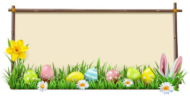 wektor wielkanocna drewniana rama - daffodil flower spring easter egg stock illustrations