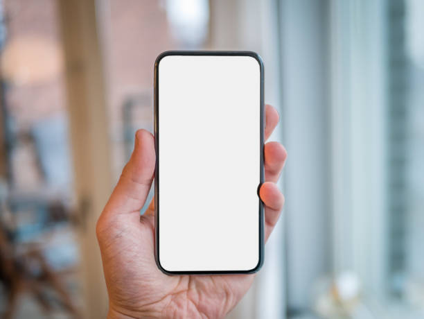 istock Hand holding a new smart phone or mobile device with white screen 1135781358