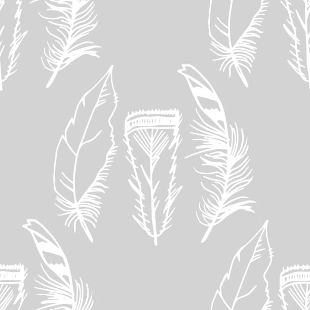 Mockingbird Feather Pattern 140+ Mockingjay Bird Stock Photos, Pictures & Royalty-Free Images - iStock