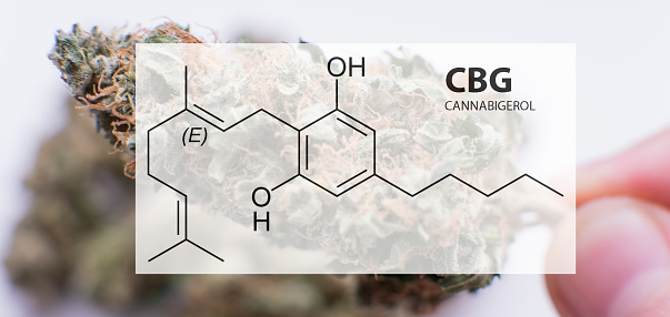 CBG healing elements in marijuana flowers. Medical cabbabis in details