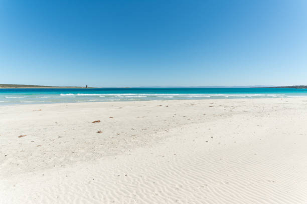 istock landscape of empty tropical beach 1135784498