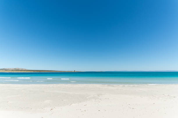 istock landscape of empty tropical beach 1135786162