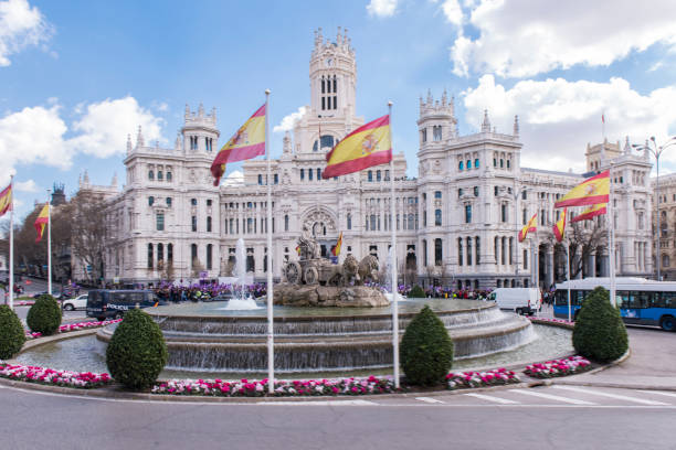 eine menschenmenge, die meisten von ihnen frauen mit purple-sachen, steht vor dem palacio de cibeles (cybele palace) in madrid, spanien. - spain flag built structure cloud stock-fotos und bilder