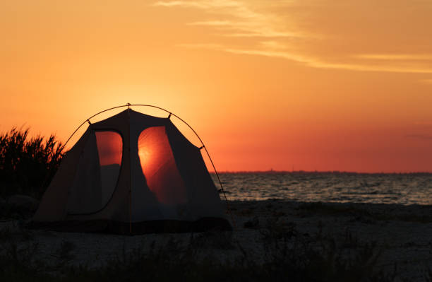 istock Camping tent on sea beach at sunset in summer 1135786907
