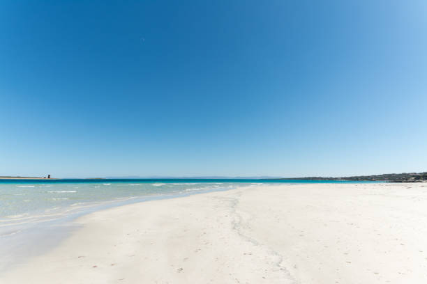 istock landscape of empty tropical beach 1135788270