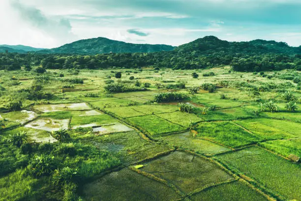 Photo of Rural landscape in Malawi, Africa
