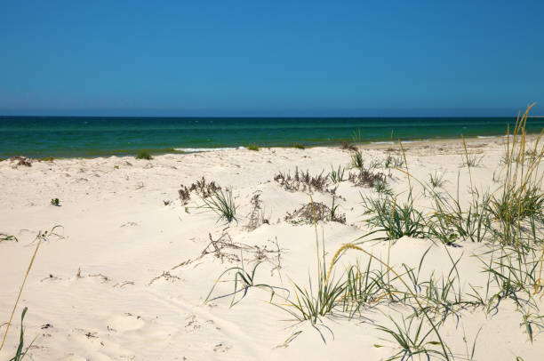 istock Blue clear sky, sea and sand on deserted beach 1135788853