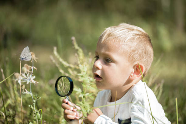 istock Young researcher explores nature with a magnifying glass 1135790143
