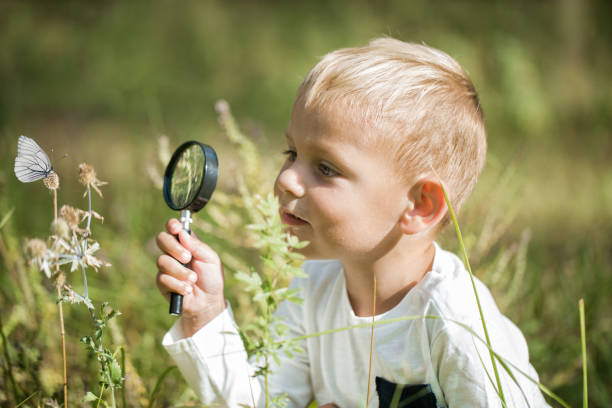 istock Young researcher explores nature with a magnifying glass 1135790168