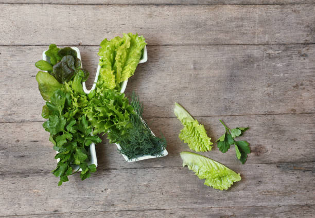 vitamina k en concepto alimentario. placa en forma de la letra k con diferentes verduras de hojas verdes frescas, lechuga, hierbas sobre fondo de madera. lay plano o vista superior. - letter k fotografías e imágenes de stock