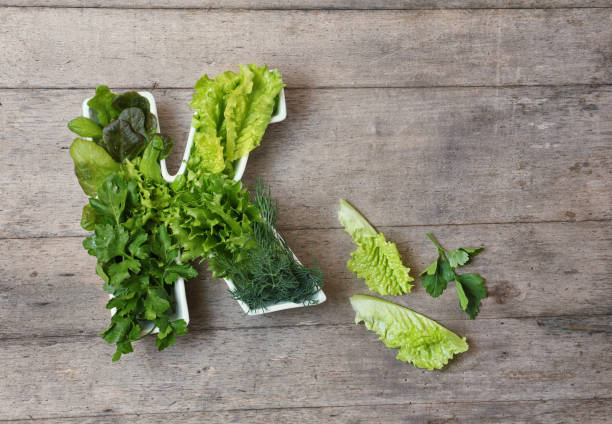 食品の概念におけるビタミン k。異なる新鮮な葉の緑の野菜、レタス、木製の背景にハーブと文字 k の形でプレート。フラットレイまたは上面ビュー。 - letter k ストックフォトと画像