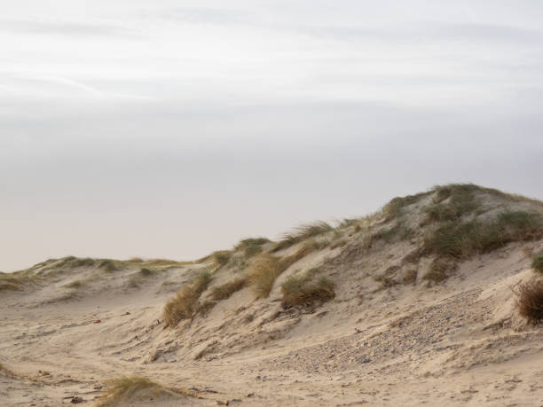 istock Dune landscape on the island Helgoland 1135794512