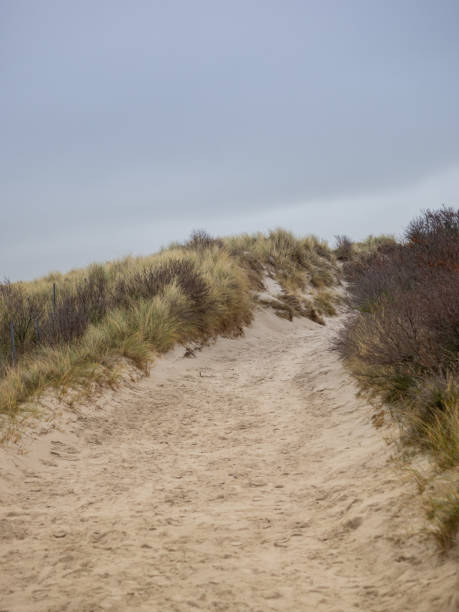 istock Dune landscape on the island Helgoland 1135794739