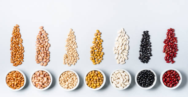 istock Varieties of beans on gray background 1135795746