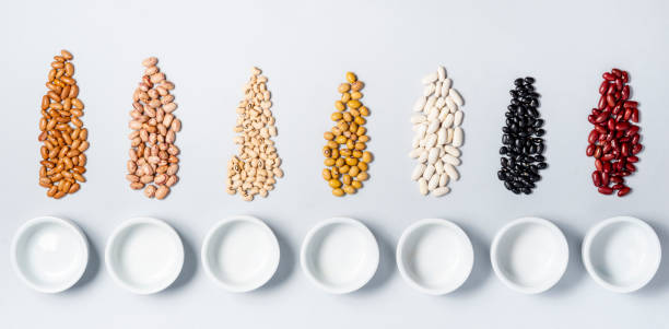 istock Varieties of beans on gray background 1135796826