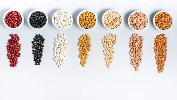 Varieties of beans on gray background.