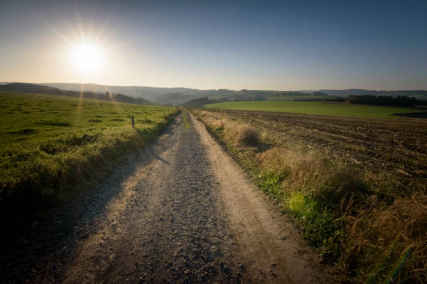 istock Agricultural fields beside a dirt road with low sun Belgium Ardennes 1135799537