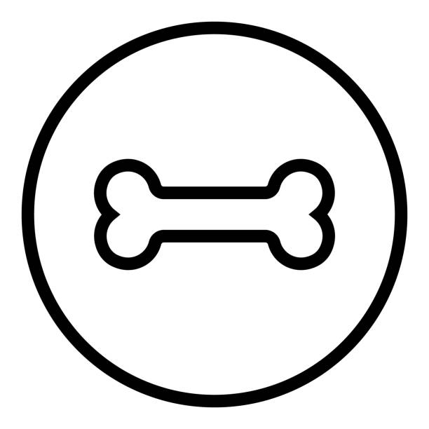 istock Dog bone icon. Pets food symbol. Flat signs in circles. Round buttons for web. 1135800408