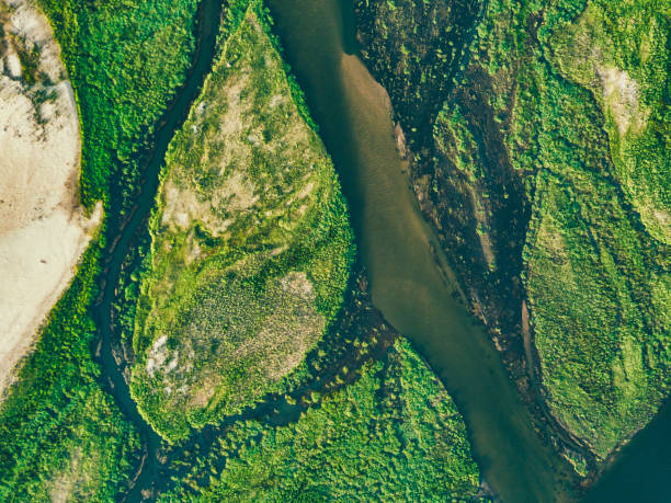 luftaufnahme auf den grünen inseln des zambezi-flusses - flussinsel landform stock-fotos und bilder