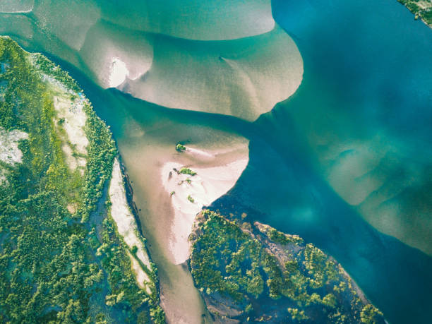 aerial view on the zambezi river sandbars aerial view on the river of lower zambezi area in Zambia estuary photos stock pictures, royalty-free photos & images