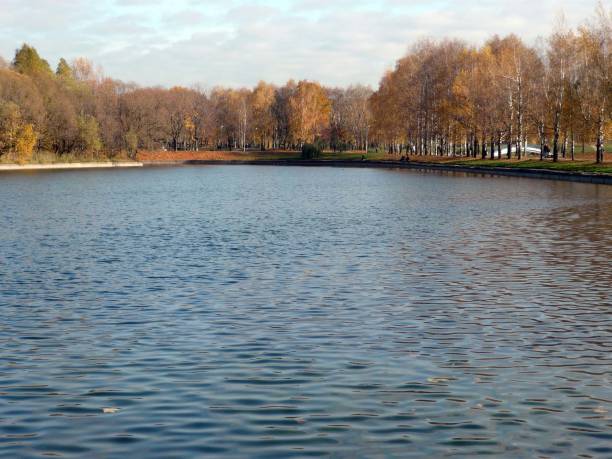 istock autumn in city park 1135803756