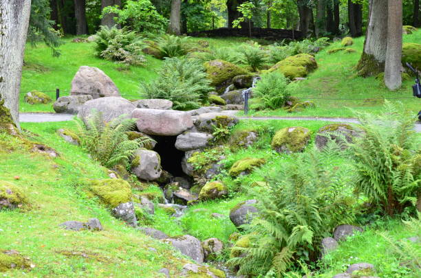 fragment of a nature corner of the outskirts of tallinn, estonia. - indescribable imagens e fotografias de stock