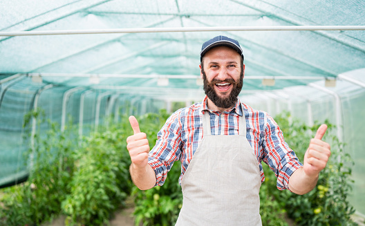 Young farmer with a hat in a greenhouse giving thumbs up