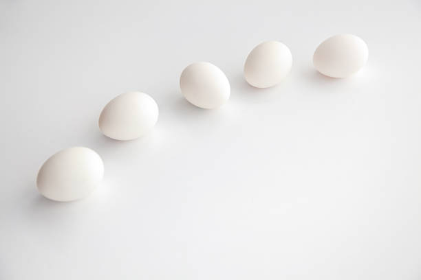 istock white chicken eggs diagonally to the left in the image,concept 1135813573