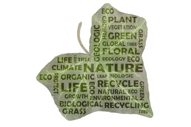 Photo of Tag cloud to the main keywords nature, recycling and green life.