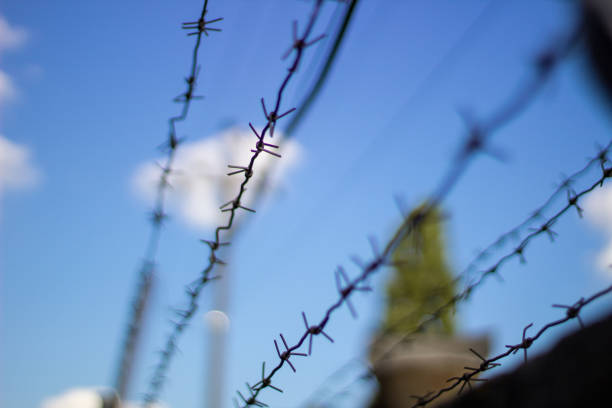 Rolls of sharp barbed wire are forming a protective fence around residential houses, ensuring security and safety
