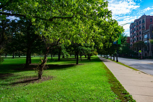 istock Tree Lined Sidewalk in Lincoln Park Chicago 1135818850