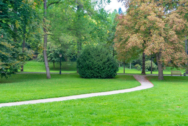 bellissimo parco nel cuore di baden-baden, germania - baden baden green street fountain foto e immagini stock