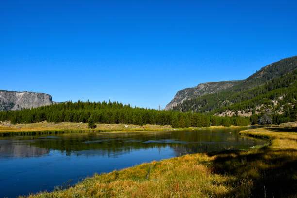 Landscape of the Madison River in Yellowstone National Park.
