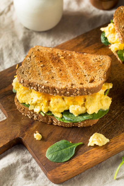 istock Hearty Homemade Egg Breakfast Sandwich 1135825393