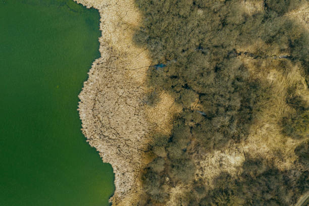 istock Lake arial view in detail 1135825695