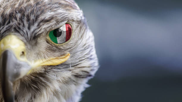 istock İtaly italian emirates flag on Eagle eye with dispalce 1135826837